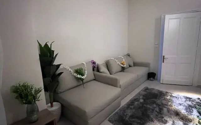 New royai studio