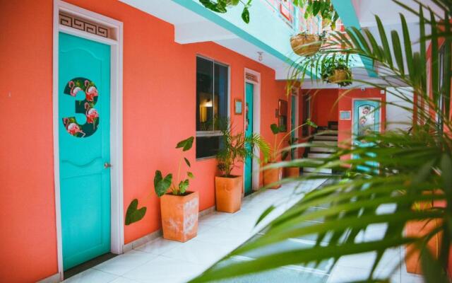 Flamingo Coworking