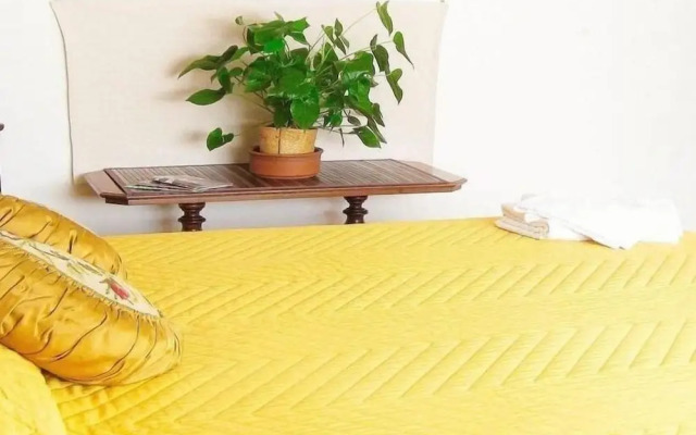 Romulus Rex Bed And Breakfast