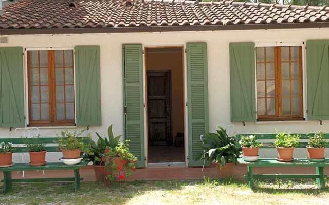 Collesole