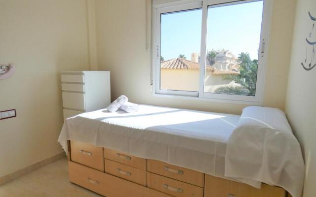 AP204 Renoir Oliva Nova