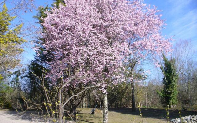 Chambre d'Hôtes Dyrslot