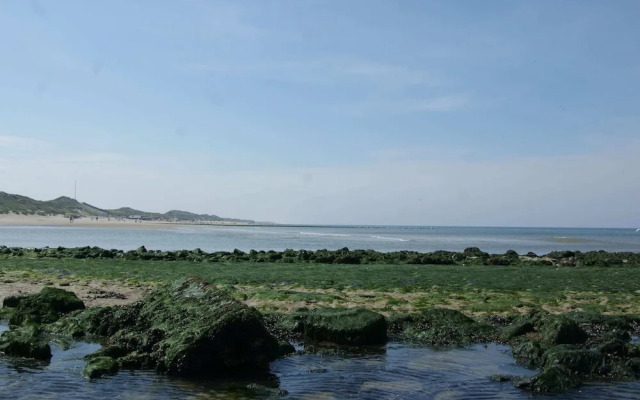 House in Schoorl Near Dunes and Beach