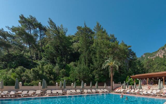 Julian Forest Suites