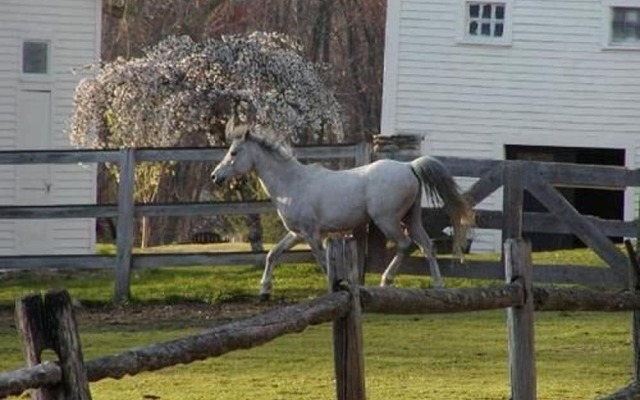 The Inn on the Horse Farm