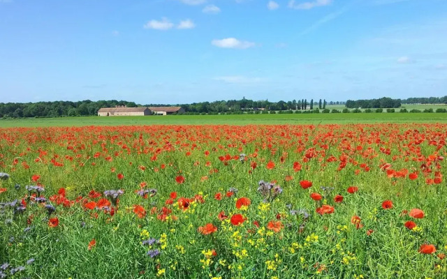Ferme D'Orsonville