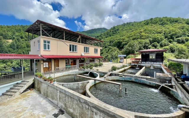 Yesilalan Hotel Caykara