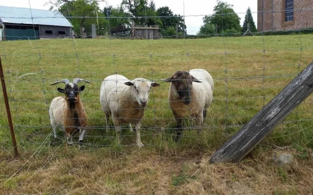 Maison d'Hotes Au Freidbarry