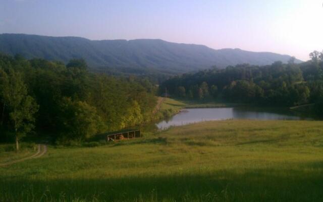 Misty Meadow Farm & Cabin