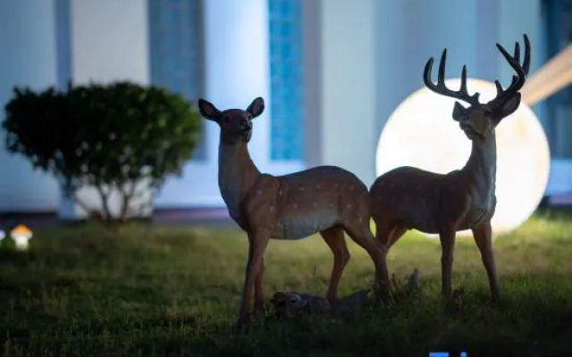 Yunting Hotel (Shanghai Qingpu Zhujiajiao Ancient Town)