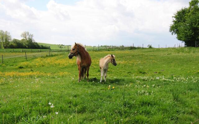 Vacation Home, Zahrensdorf
