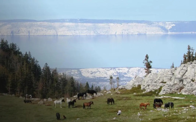 Apartment "King" Cesarica-Karlobag