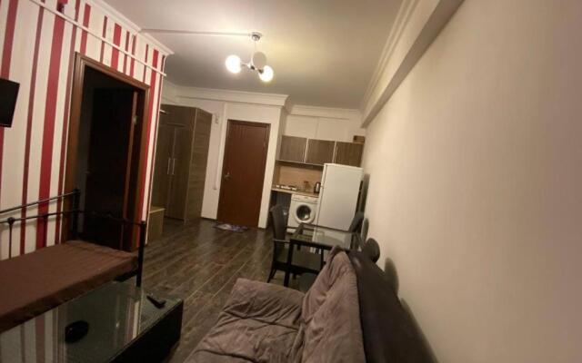 Mgzavrebi Bakuriani. Apartment #202