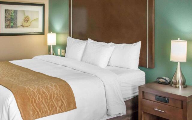 Comfort Inn & Suites San Marcos near Outlet Mall