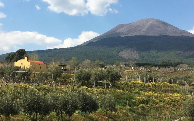 Sorrentino Vini Country House