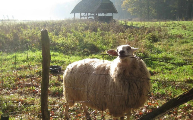 The Farmer's Daughter