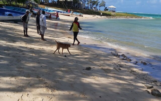 Le Shanoa-gite Feet in the Water