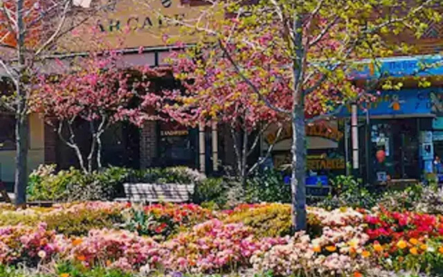 Ellengowan In Leura on 2 acres
