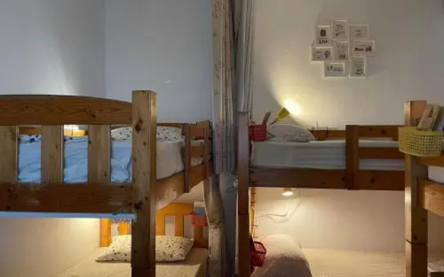 Backpacker Dog Hostel