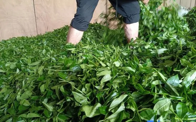 Wuyishan Spring Homestay – Outside – Nanping
