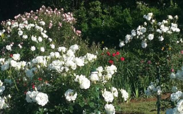 Sani Gables B&B