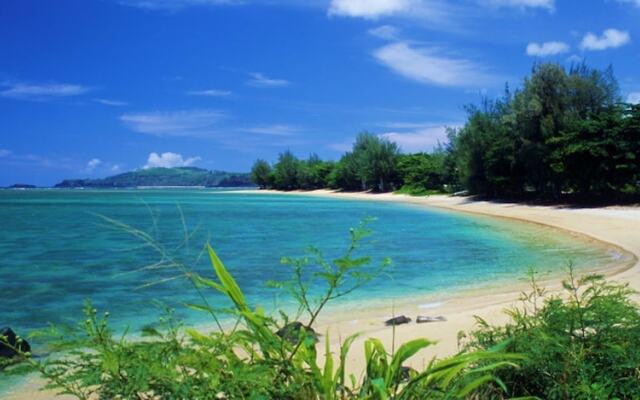 Sealodge F9 - 1 Br Condo