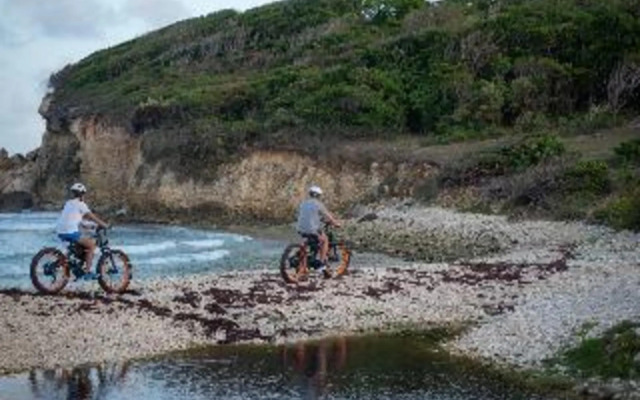 Hotel Eden Palm Sainte-anne