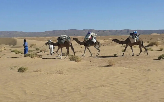 Sahara Peace camp
