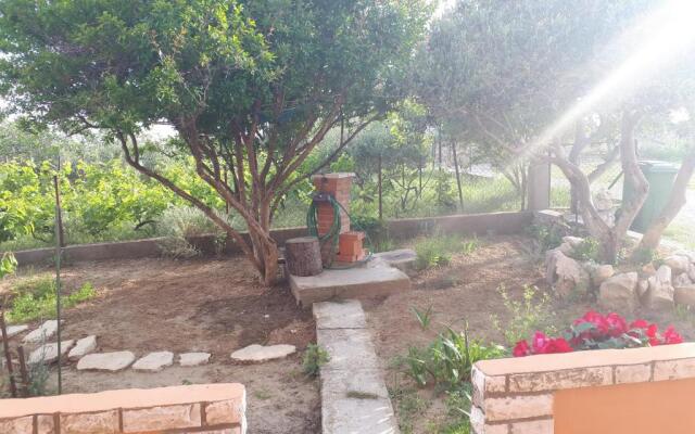 Apartmani Lucia