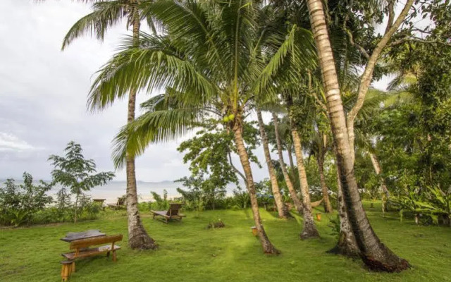 Qi Palawan