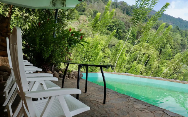 Paradise Eco Garden