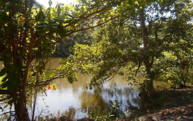 Amada Lake View Homestay