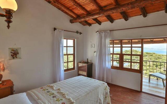 Kaktus Villa 2