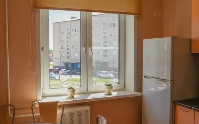 Апартаменты на проспекте 60 лет СССР 4