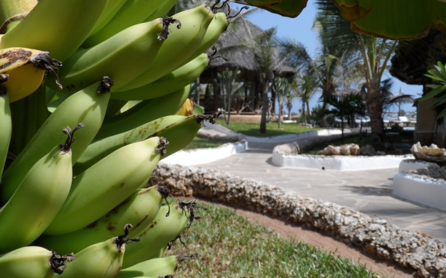 Mawe Resort Watamu Boutique Hotel