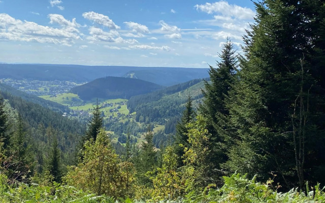 Ferienwohnung am Hirschkopf
