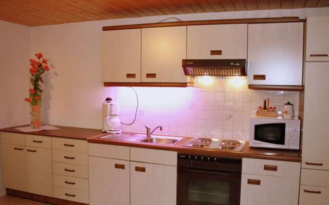 Cozy Apartment near Ski Area in Sankt Gallenkirch