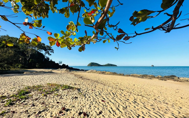 Palm Cove Pool Access Apartment