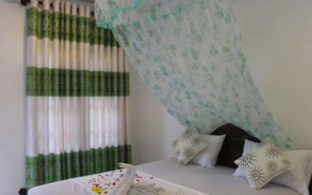 Fairview Dill homestay