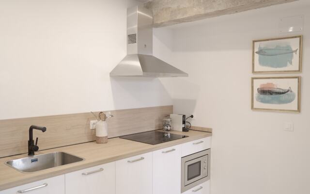 NUEVO Katu Kale Apartamentuak CENTRO HISTORICO