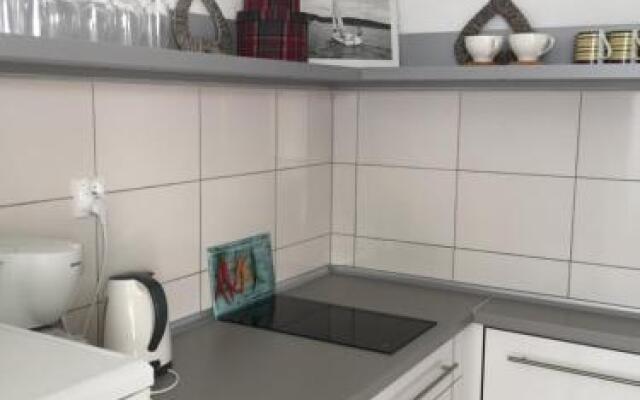 Zielone Studio