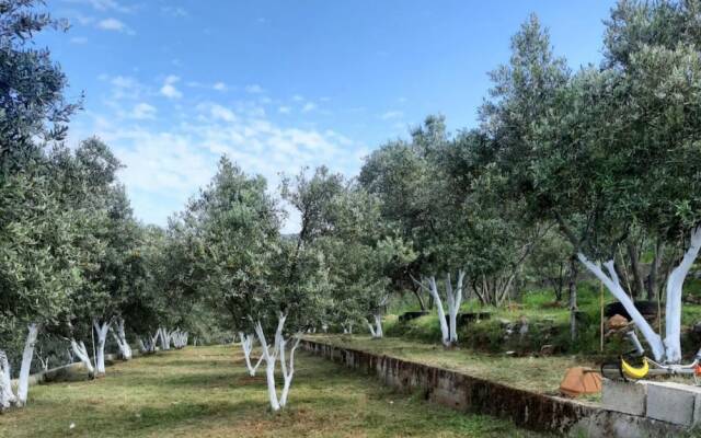 Charming House With Nature View in Fethiye