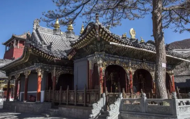 Wutaishan Miaohua Manbaoshe Hotel