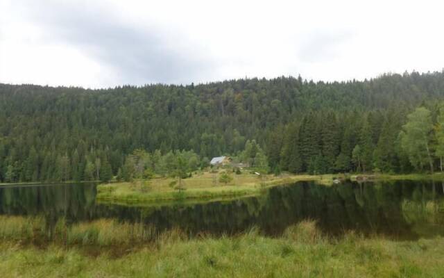 Almhotel Pinter ***Superior