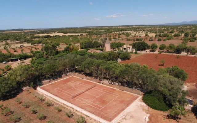 Moli de Son Vidal (SNY100)