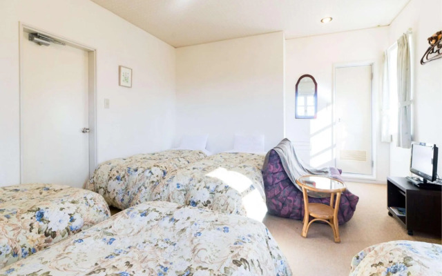 Pension White Clover