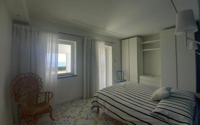 The cliff house