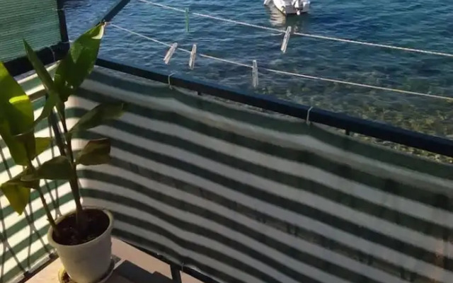 Zdravko - 5 m From Beach - A1