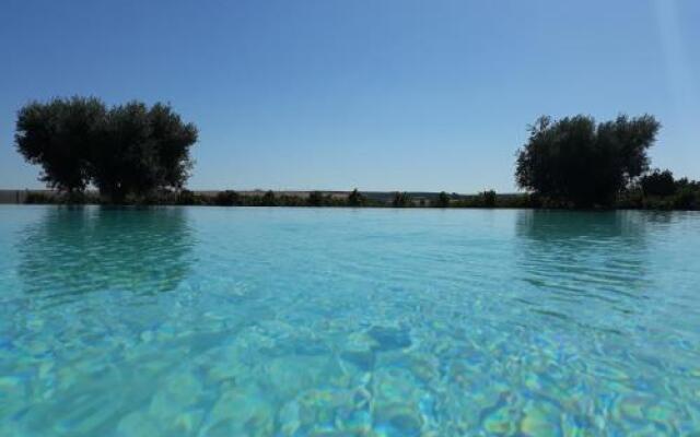 Terras - Agroturismo & Vinhos