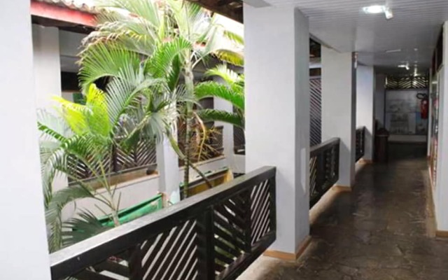 Corsario Tropical
